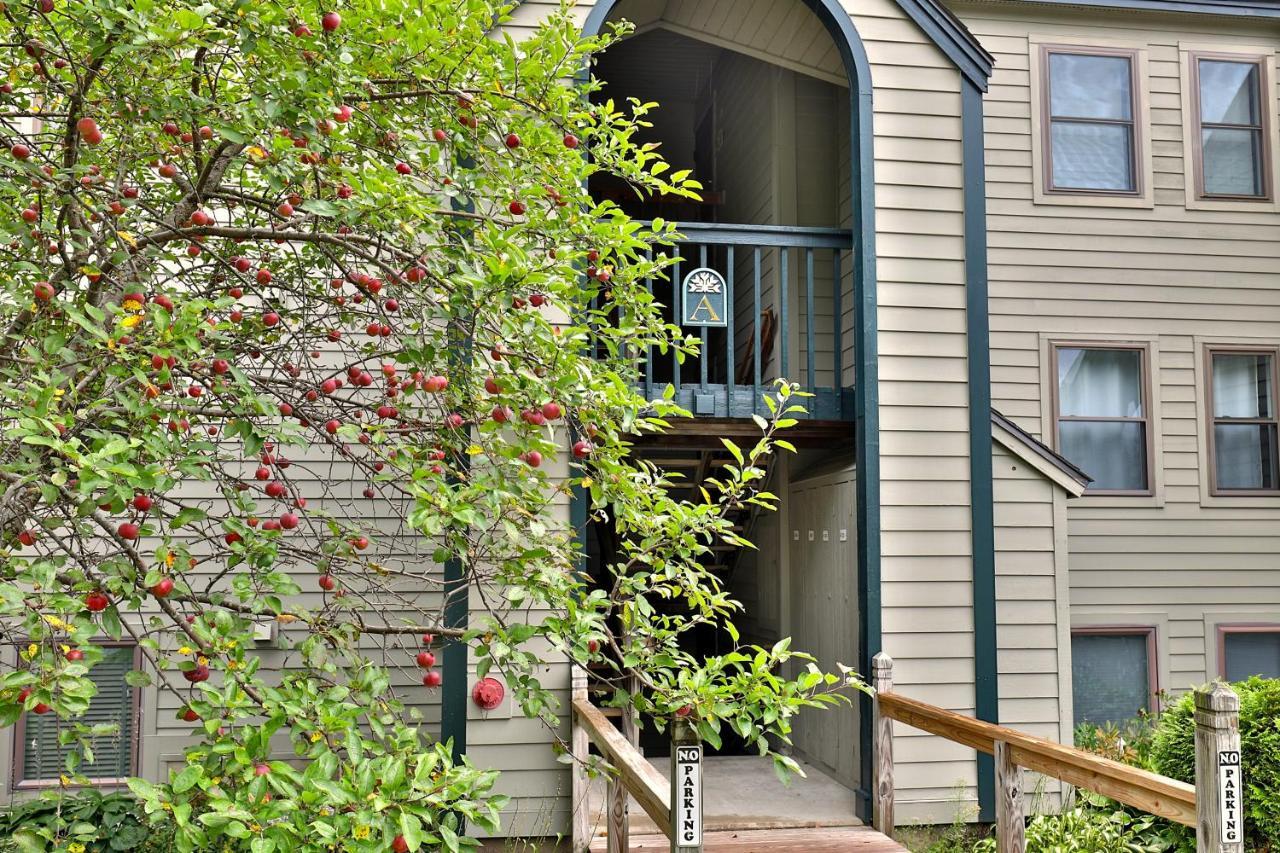 Winter Escape Apartamento Ludlow Exterior foto